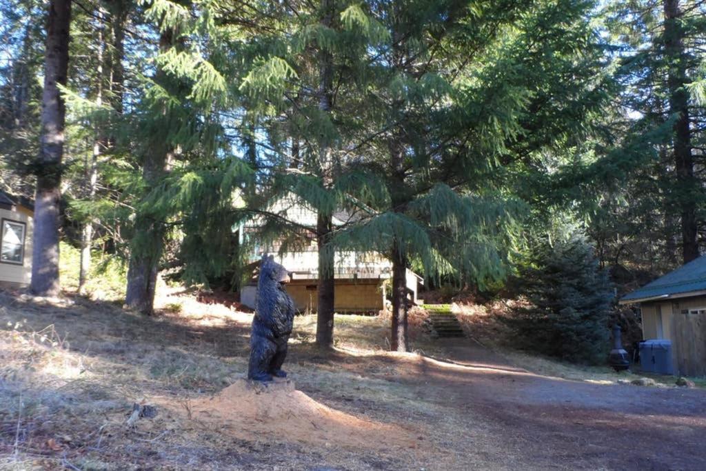 Mountainside Chalet - Tiny Home Packwood Exterior photo